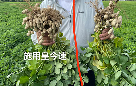 不朽情缘_首页官网入口